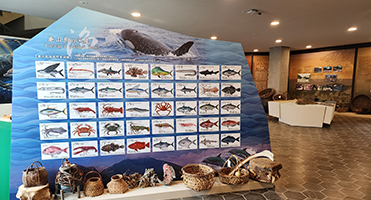 蘭海龜山島漁村文化館｜漁獲圖鑑背板 大型漁獲圖鑑造型背板輸出與立體展示結構施作