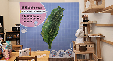 桃園轉福咖啡館｜室內牆面輸出 咖啡館室內牆面大圖輸出與施工