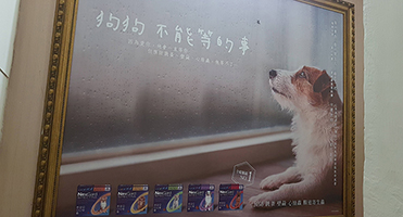 全能狗動物醫院｜門市狗狗主題玻璃貼 門市玻璃狗狗主題圖文貼輸出與施工