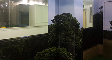 化生放核訓練中心｜玻璃隔間森林情境輸出 玻璃隔間森林情境視覺設計、輸出與貼膜施工